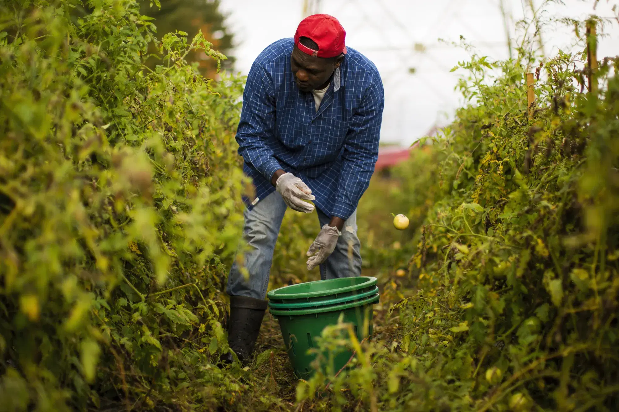 Farm Image 6