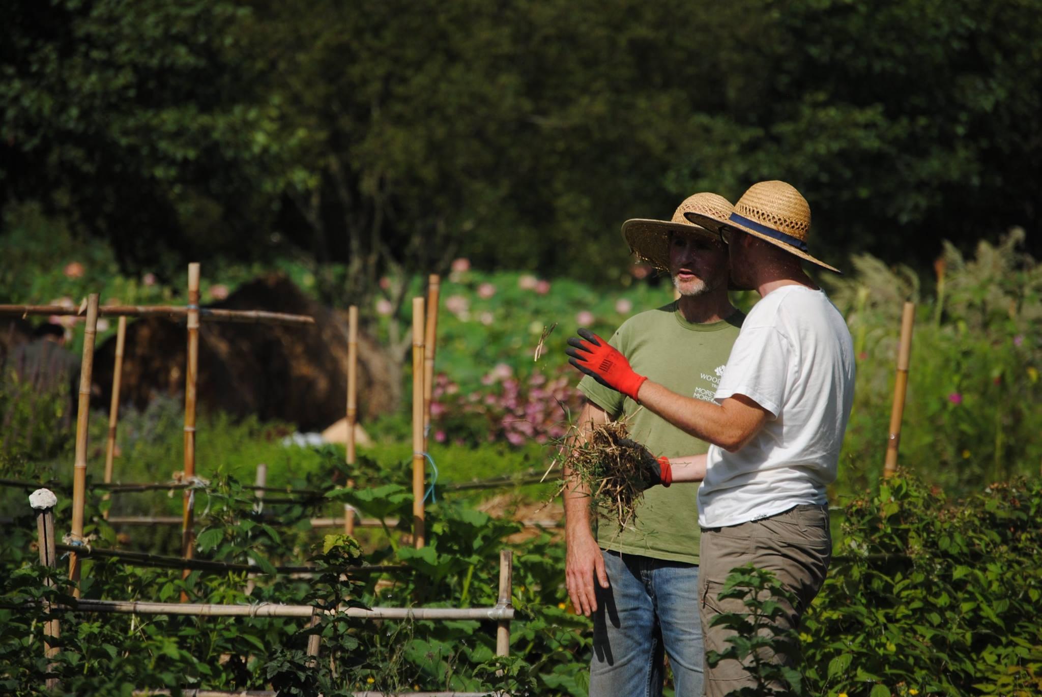 Farm Image 2